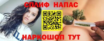 гидра Краснознаменск