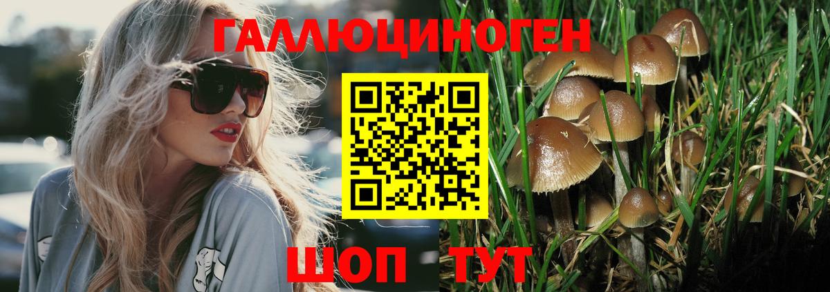 Псилоцибиновые грибы мицелий Ирбит